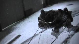 couch sled