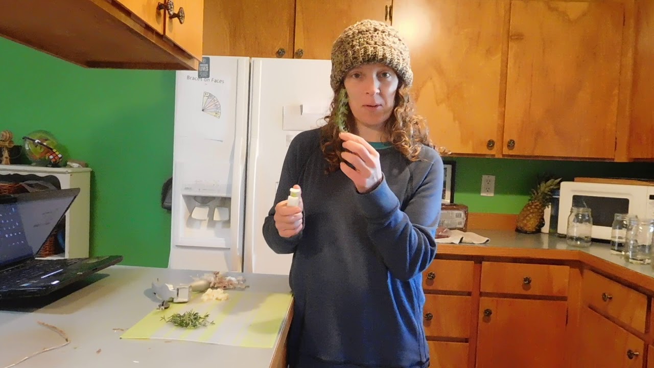 PAMPERED CHEF - STRIPPING ROSEMARY LEAVES