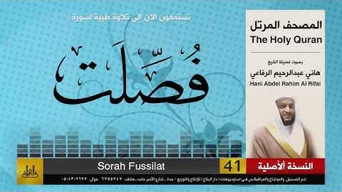 41 | سورة فصلت | هاني الرفاعي | hani alrefai