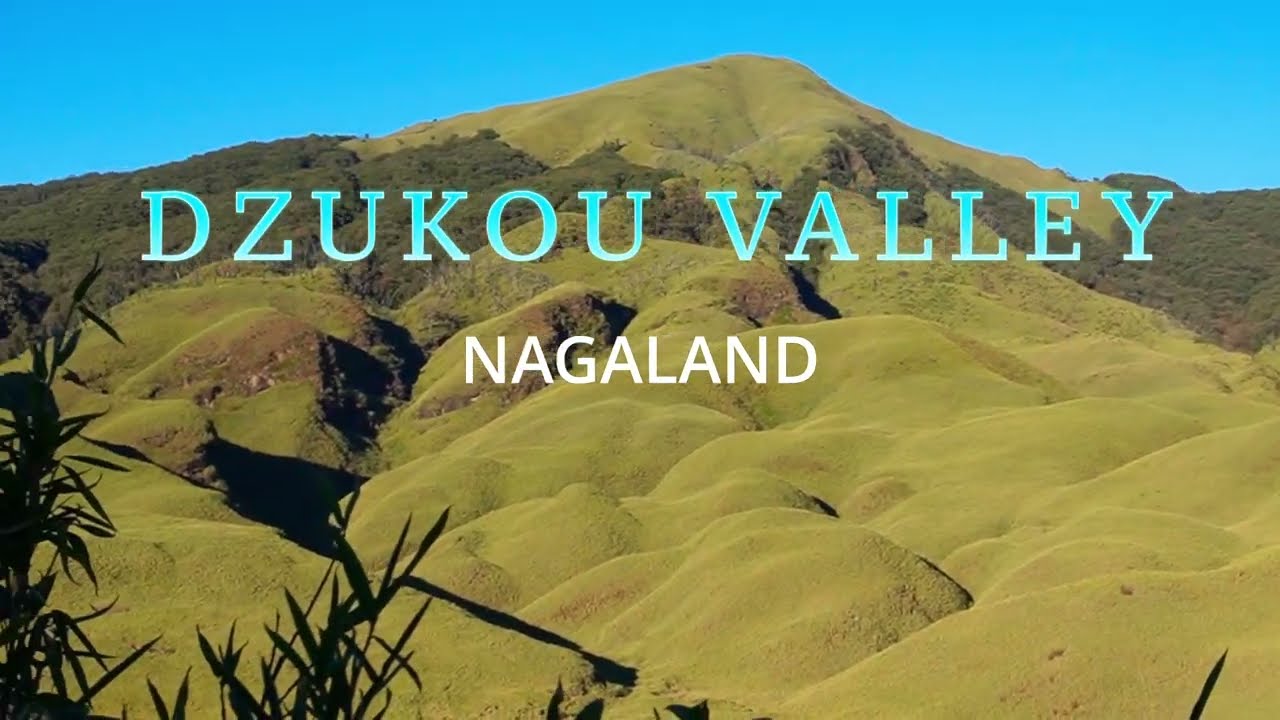 DZOKOU VALLEY TREKKING, NAGALAND