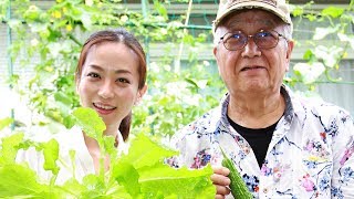 【自給自足で生き抜こう！】かんたん！水耕栽培生活　100円グッズでレタスづくり！ショート・バージョン