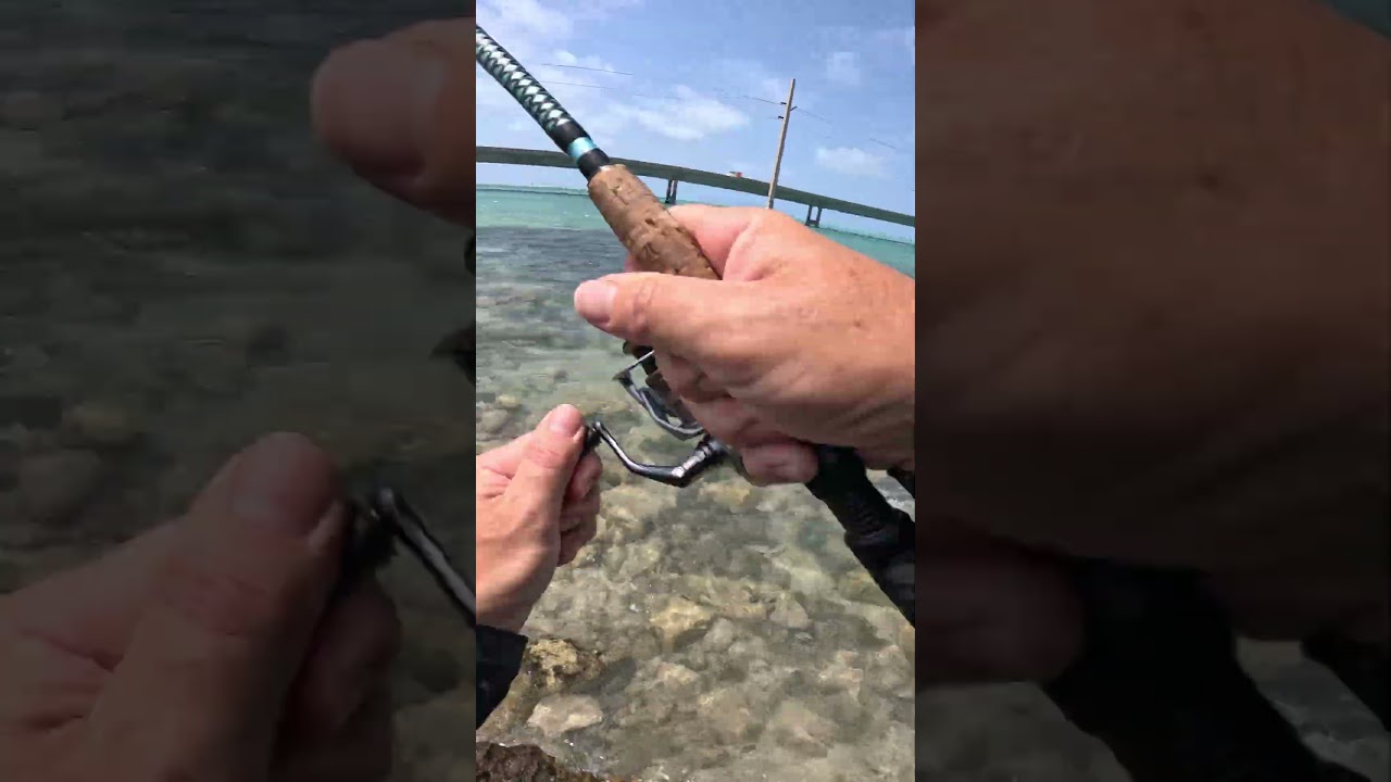 Reel Cuda Pigeon Key