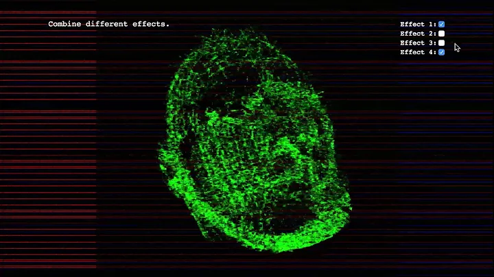 Post-processing Portrait