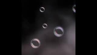 Alusi Au #Rock 😱🤘 ⚘🖤⚘