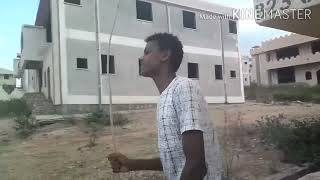 Tuuta Gartuu Imimmaani .Diraama Ajaaibaa Kan Dhamsa Add Irrat Hoojjatame .