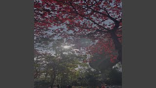 floating seasons