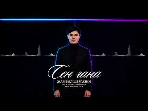 Жамбыл Шергазин - Сен ғана (official audio)