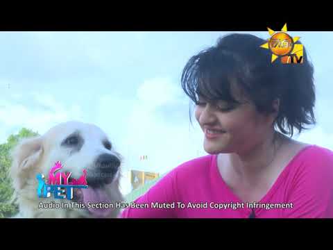 number one for me lyrics Hiru TV Morning Show - MY PET | EP 05 | 2019-07-12
