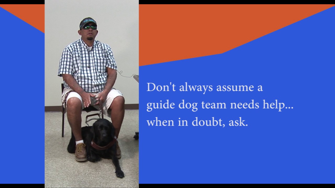 Guide Dog Etiquette part 2 YouTube