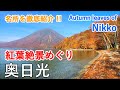 奥日光の紅葉絶景めぐり（中禅寺湖・湯ノ湖・華厳の滝・竜頭の滝・戦場ヶ原・小田代ヶ原） / Autumn leaves of Nikko ( Tochigi, Japan )【日本の紅葉絶景！】