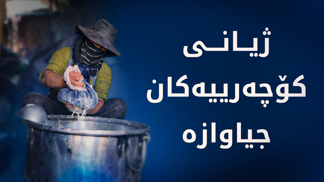 ژیانی کۆچەرییەکان جیاوازە، ببینە چۆن ژن و پیاو و منداڵ پێکەوە کار دەکەن