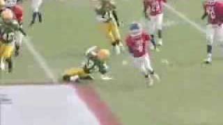 The Next Reggie Bush