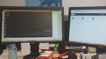Citrix Window on 2 screens or monitors