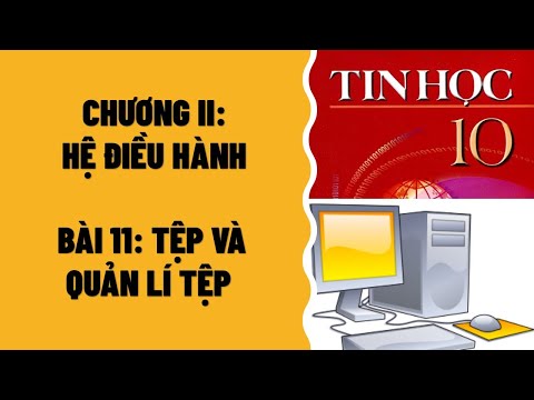 Video TIN HỌC 10 - BÀI 11: TỆP VÀ QUẢN LÍ TỆP - youtube