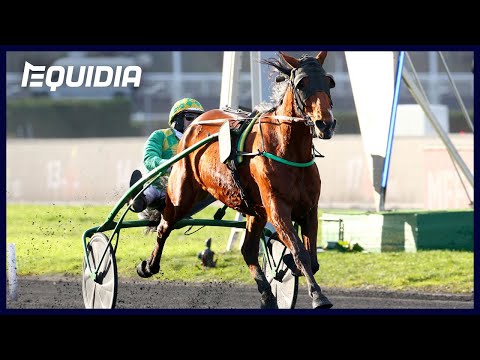 Cidjie de Guez - Grand Prix d'Afrique - Vincennes - 03/02/19 - Cidjie de Guez - Grand Prix d'Afrique - Vincennes - 03/02/19