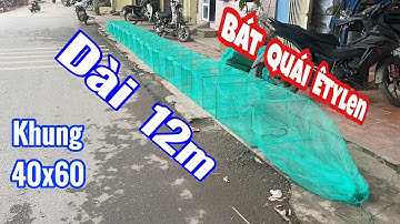 Bát Quái Êtylen khung 40x60 12m {Lỗ 0.3mm} Bắt Tép Gạo. Zalo/ 0938.336.470 A Đẩu