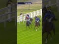 Ombudsman currently tops the world rankings and holds an entry in next week’s Coral-Eclipse 🏆