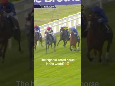 Ombudsman currently tops the world rankings and holds an entry in next week’s Coral-Eclipse 🏆