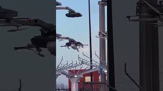 Walmart drone deliveries @chuckAIRobot