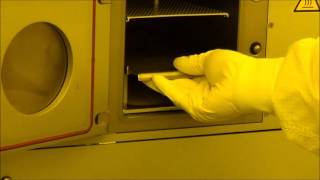 Famous MNTL training Diener Plasma Wealth