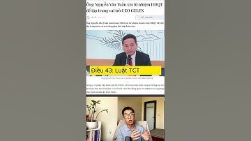 Lí do anh Tuấn Mượt rời HĐQT của GEX  #tapchichungkhoan #chungkhoan #taichinh #gex #vix