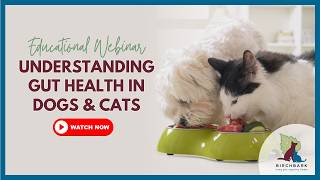 BirchBark's "Understanding Gut Health in Dogs and Cats" webinar - Q1 2025