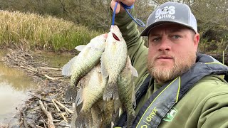 I'll Be DAM  Creek CRAPPIE Fishing With Jig & Bobber!‼CRAPPIE Fishing 2024‼