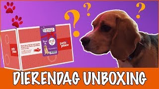 Een dierendagverrassing voor Matzy! | DierenpraatTV