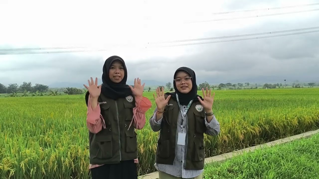 AFTERMOVIE - KKN UNS 139