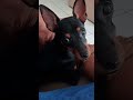 Olá o meu nome é Suzi
