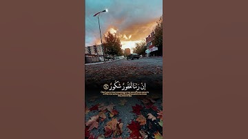 #اكسبلور #دويتو #تلاوة_خاشعة #راحة_نفسية #اسلامصبحي #لايك #ارحقلبك #حالات_واتس #ارحسمعك #قرآن