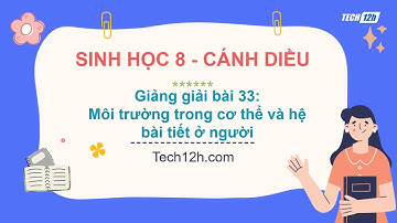 Giảng bài 33 Môi trường trong cơ thể và hệ bài tiết ở người ở người  Sinh học 8 Cánh diều