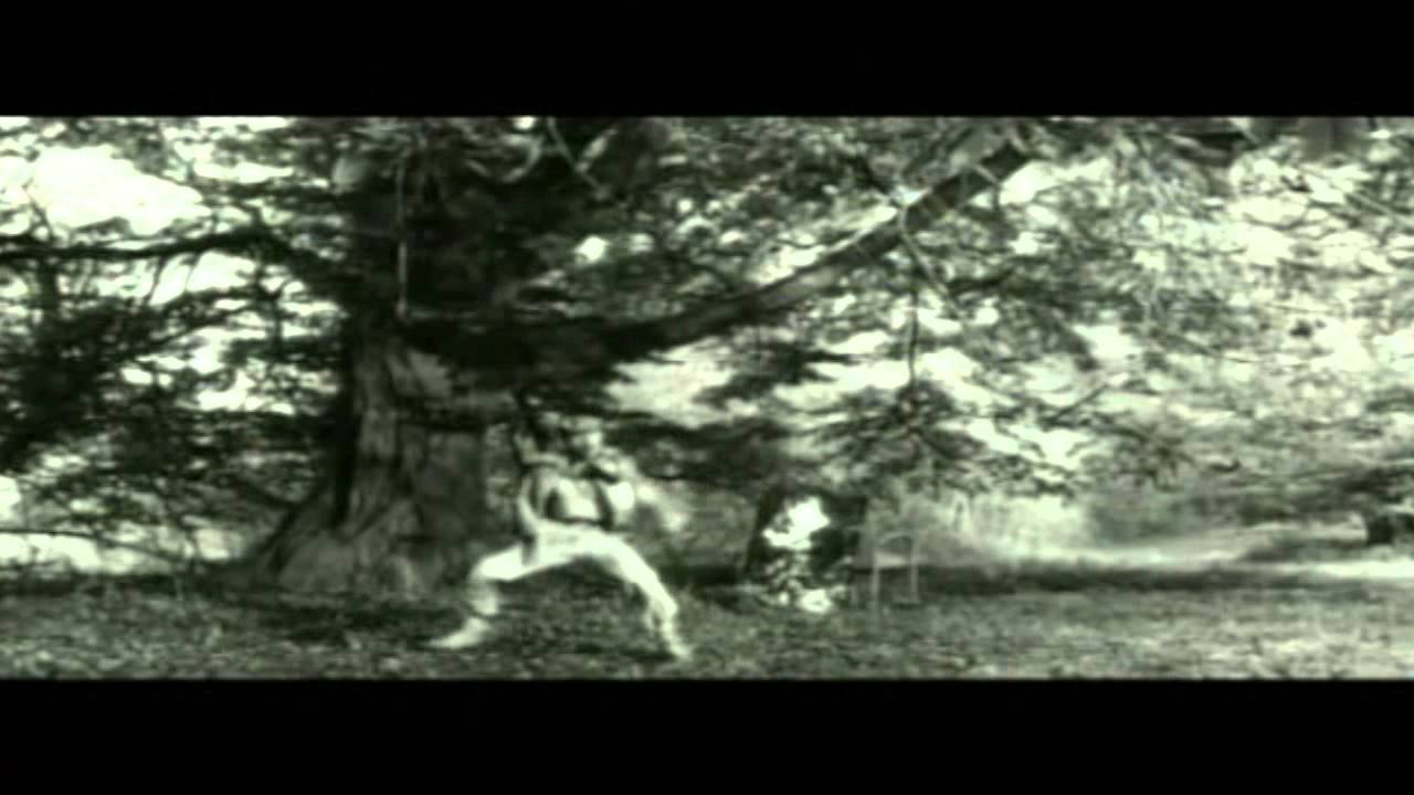 Le plastique c'est fantastique - Elmer Food Beat
