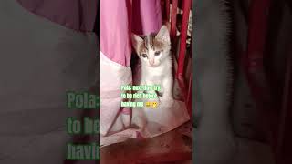 Try To Be Rich Before Having Me