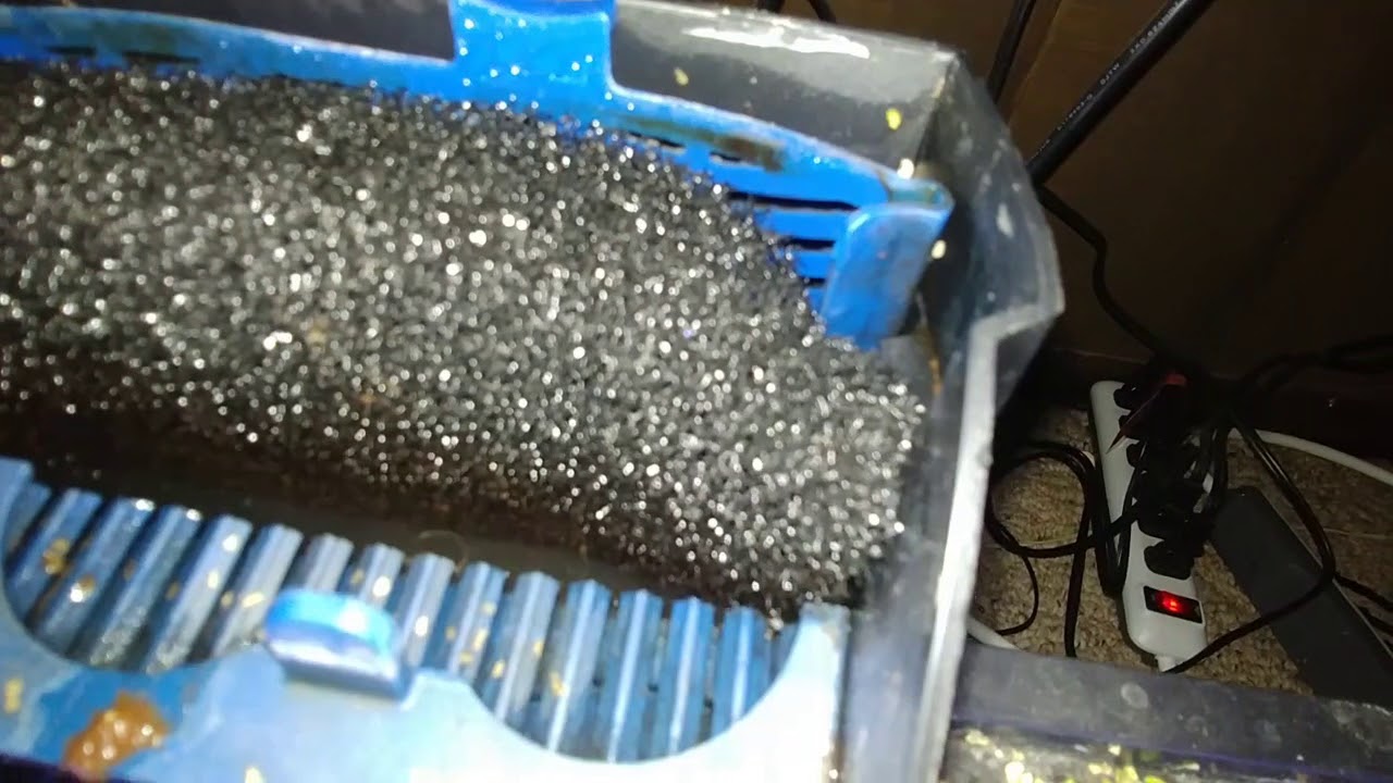 DIY Filter Media For Hang On Back Filters YouTube