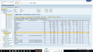 SAP + ST03N + SM20 + Security audit