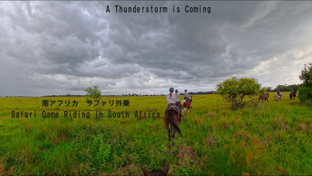 South Africa Safari Riding No 1 2026 12 20 PM 南アフリカサファリライド　雷雨の中をずぶ濡れで駆け抜けました。