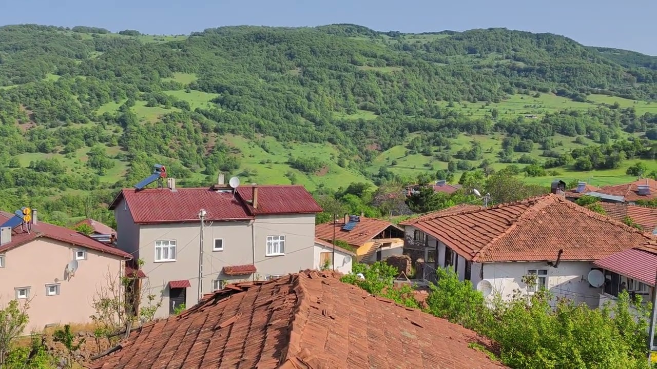TOKAT ALMUS OĞULBEY KÖYÜ MANZARALARI HAZİRAN 2025 VİDEO 03
