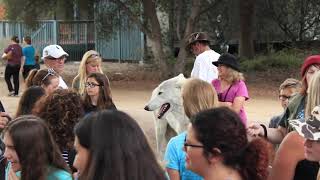 CSUF Faculty and Staff Take Education Outdoors