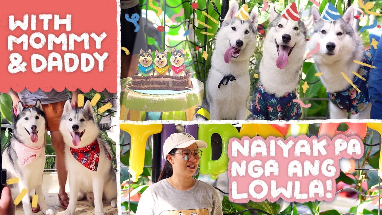 BIIKS 1ST BARKDAY REUNION!! (KILALA PA BA NILA ANG ISA'T ISA?)