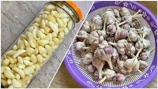 Easy Way to Peel Garlic | Desi Lahsun ko cheelne ka Tarika | How to Peel Garlic