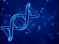 DNA and RNA basic difference (Cell biology )