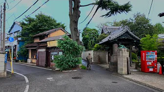 Sudden Rain, Nezu | Tokyo Walk 4K HDR