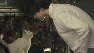 Bts -Blue Grey- Marimba Ringtone Zil Sesi