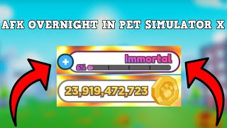 HOW TO AFK OVERNIGHT ON PET SIMULATOR X ...