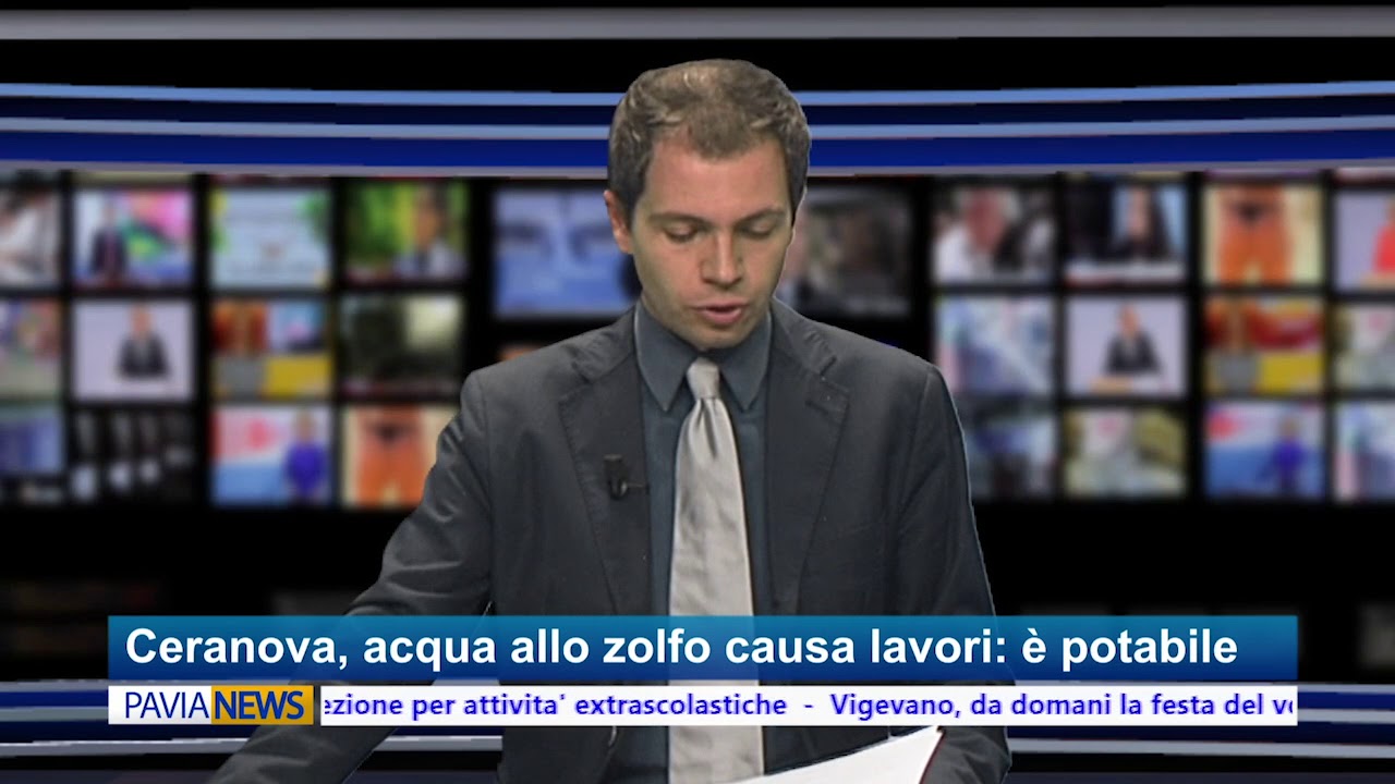 italian greyhound PAVIA NEWS - 13 aprile 2018