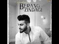 Berang zindgi  featnetu bhall layrical by aniket garg