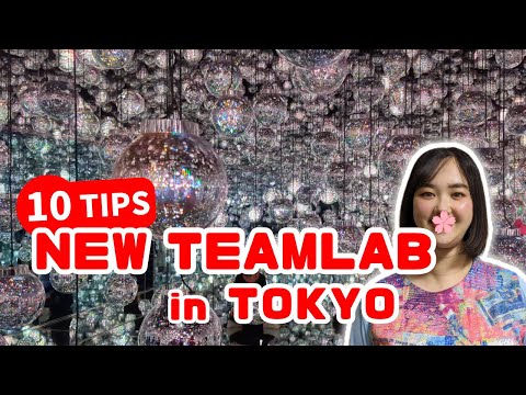 10 New Things to Know Before Traveling to TeamLab Borderless in Azabudai Tokyo 2024