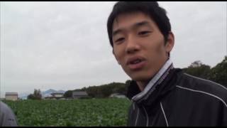 卒業論文、卒業生メッセージ