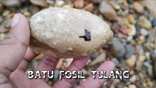 (222) Batu fosil mirip dengan strektur tulang batu akik sungai